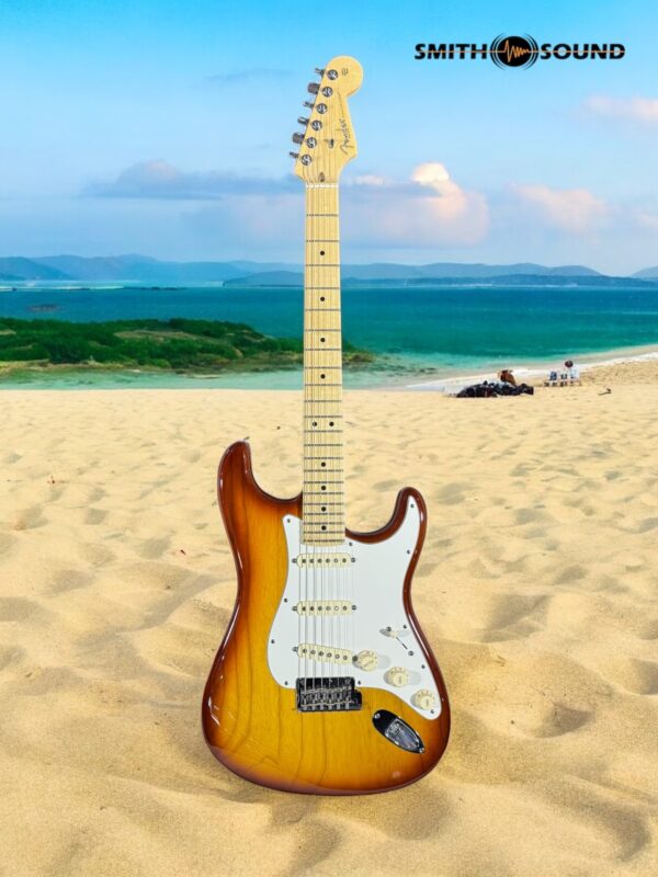 Fender Stratocaster American Professional (Sienna Sunburst)