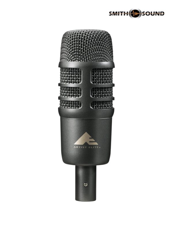 Audio Technica AE2500 Dual Element Kick Mic